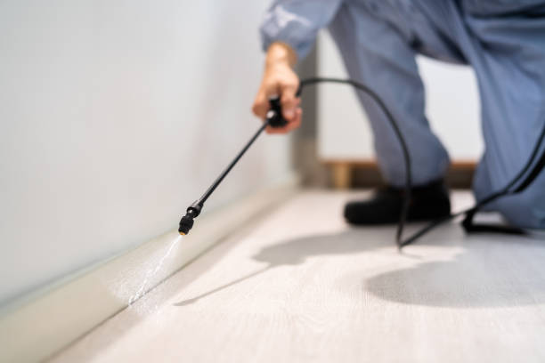 Licensed Pest Control service in Crab Orchard, WV - Show Me Pest Control