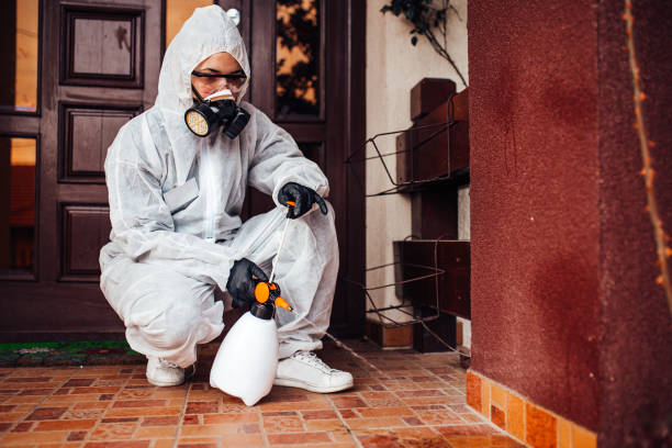 Reliable Wasp Removal contractor in Crab Orchard, WV by Show Me Pest Control